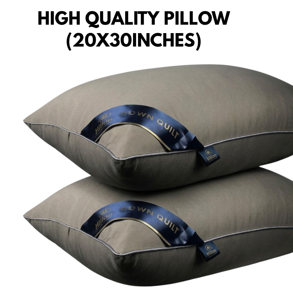 CG CHENG Premium 1000g High-Quality Sleeping Pillow – 20x30 Inches Ergonomic Comfort & Support