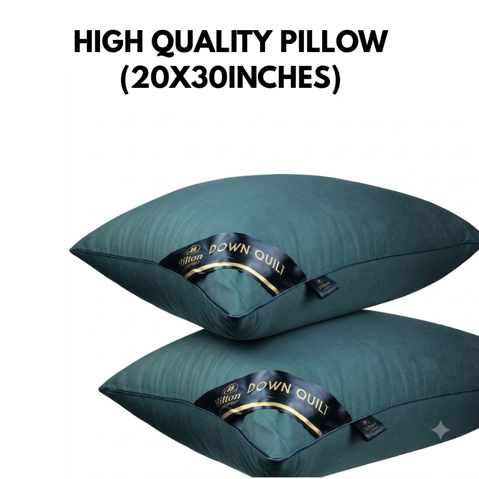 CG CHENG Premium 1000g High-Quality Sleeping Pillow – 20x30 Inches Ergonomic Comfort & Support