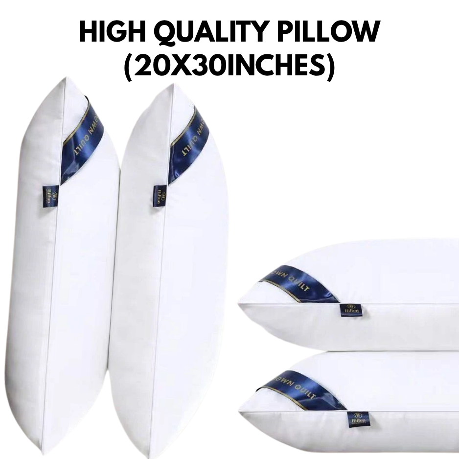 CG CHENG Premium 1000g High-Quality Sleeping Pillow – 20x30 Inches Ergonomic Comfort & Support
