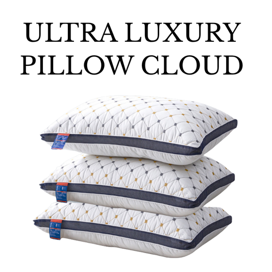 Ultra Luxury 1000g Quilted Bed Pillow Cloud (20x30 in) – Ergonomic Support, Breathable Mesh Border & Plush Comfort