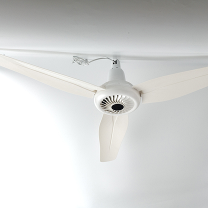T-Wolf 5 Blades Electric Ceiling Fan